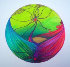 circle circle