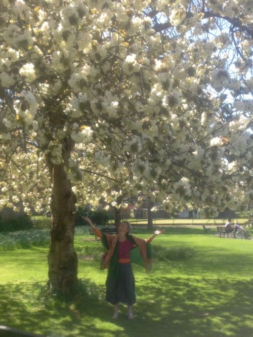 Heather under a cherry tree